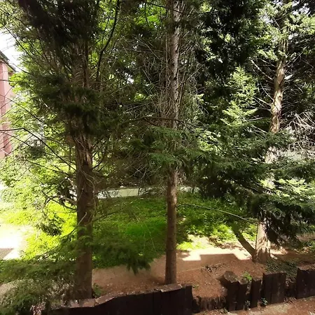 Appartement Gockel Homes 1 - Zentral Mit Balkon & Netflix