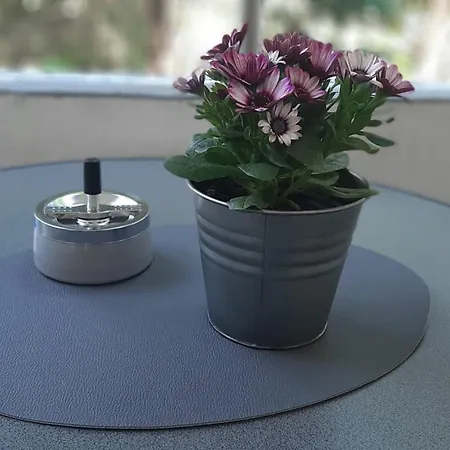 Daire Gockel Homes 1 - Zentral Mit Balkon & Netflix