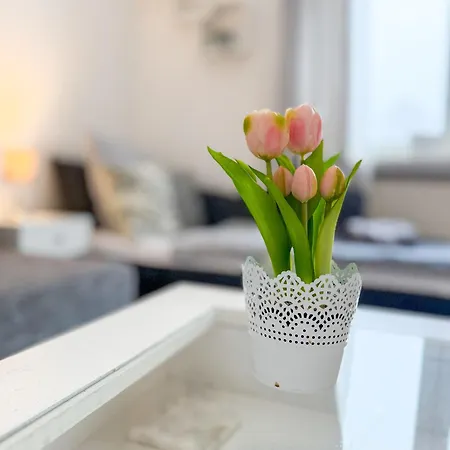 דירה Gockel Homes - Zentral Mit Balkon & Netflix