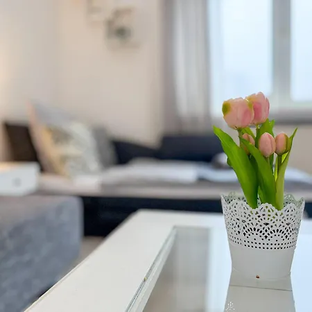 Gockel Homes - Zentral Mit Balkon & Netflix 埃森